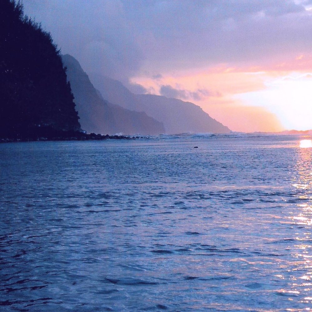 Meet your Posher, Vickey